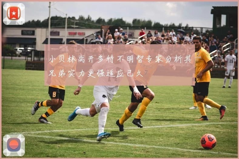 小贝林离开多特不明智专家分析其兄弟实力更强适应已久