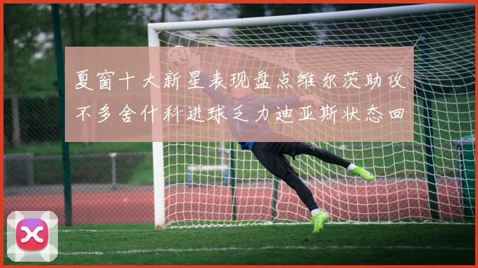 夏窗十大新星表现盘点维尔茨助攻不多舍什科进球乏力迪亚斯状态回暖