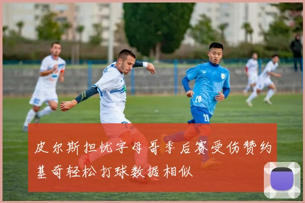 皮尔斯担忧字母哥季后赛受伤赞约基奇轻松打球数据相似